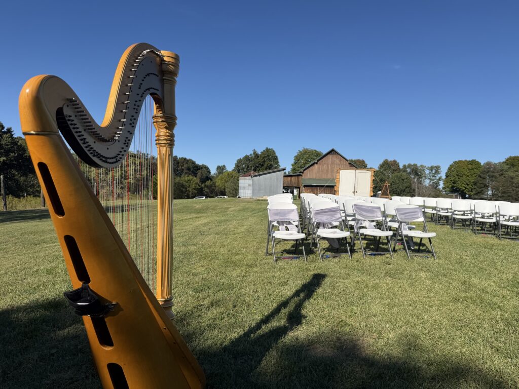 Live Harp Music at a Tennessee Wedding