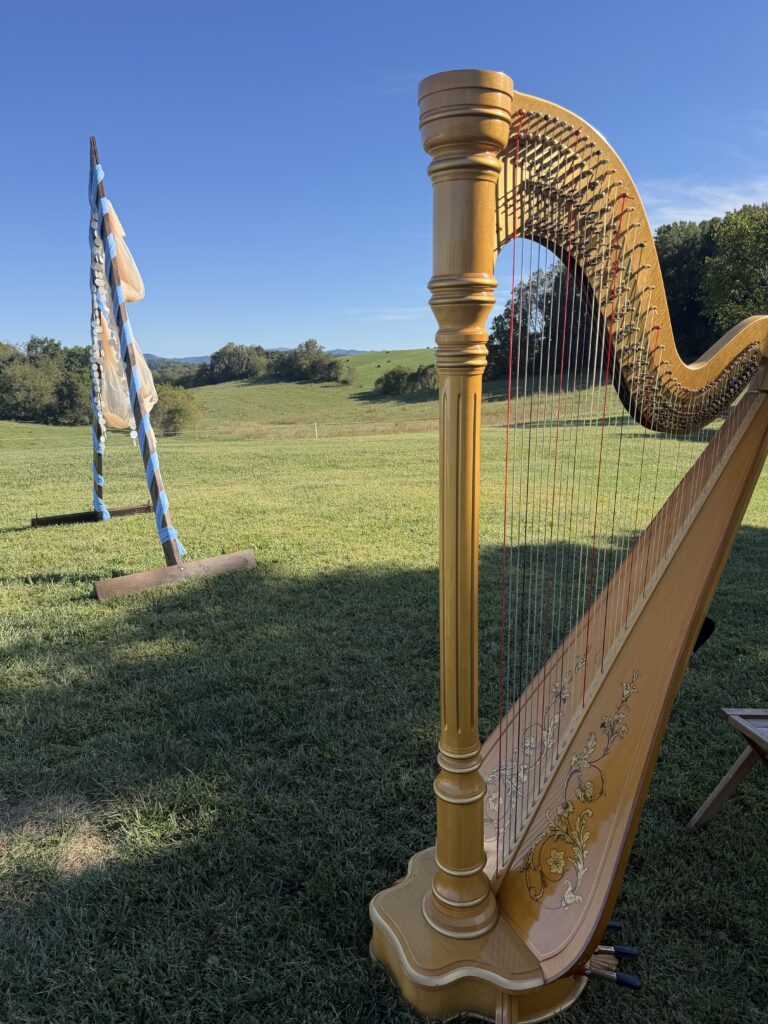 Wedding Harpist in Johnson City Tennessee