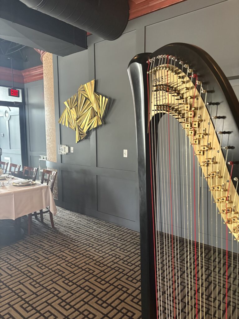 Harp Music that Isn't Boring