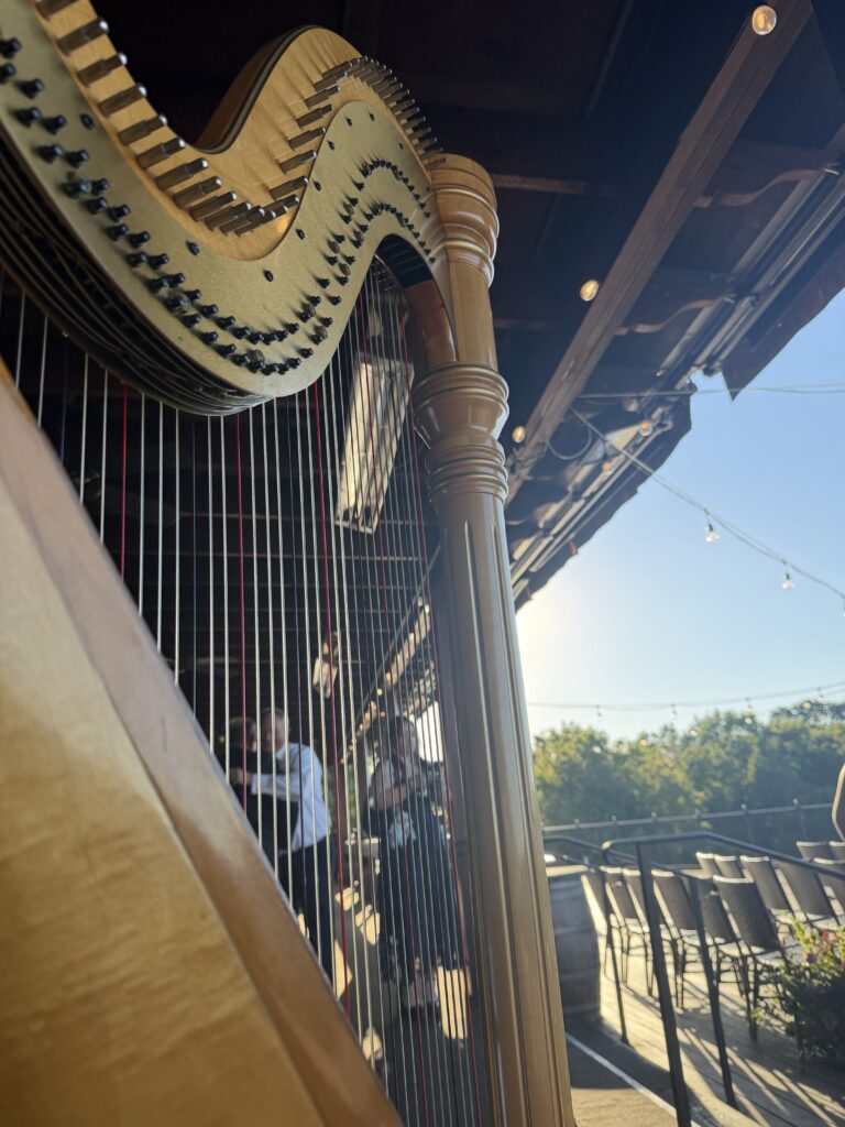 Wedding Musicians in Defiance Missouri