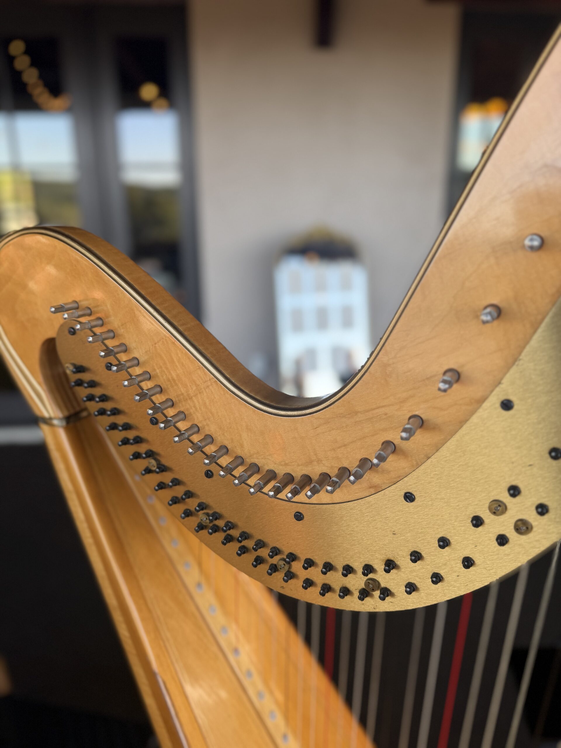 Wedding Music at Chandler Hill Vineyards