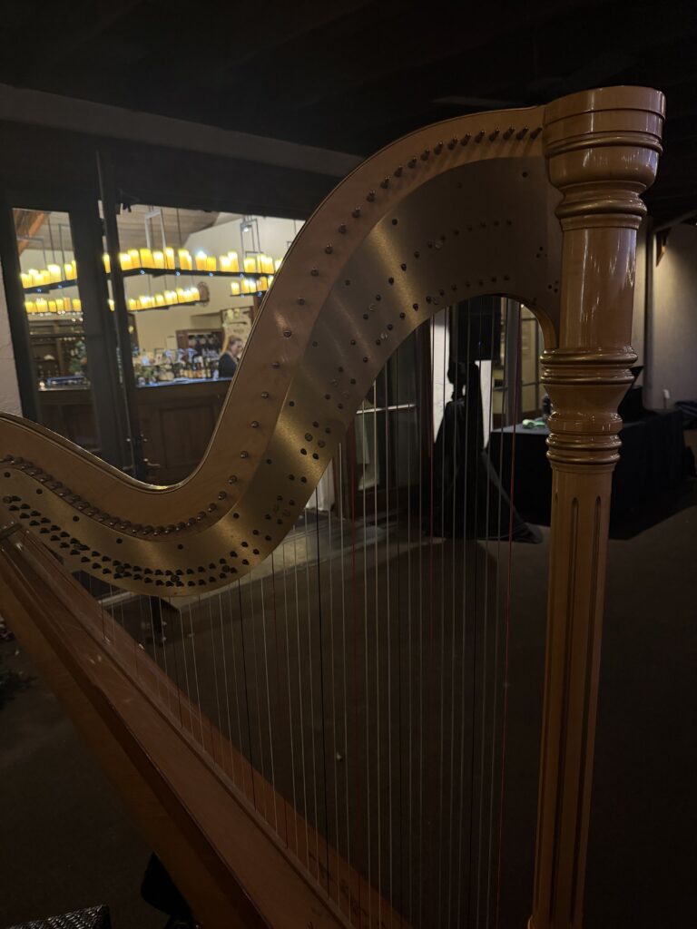 Harpist in St. Louis