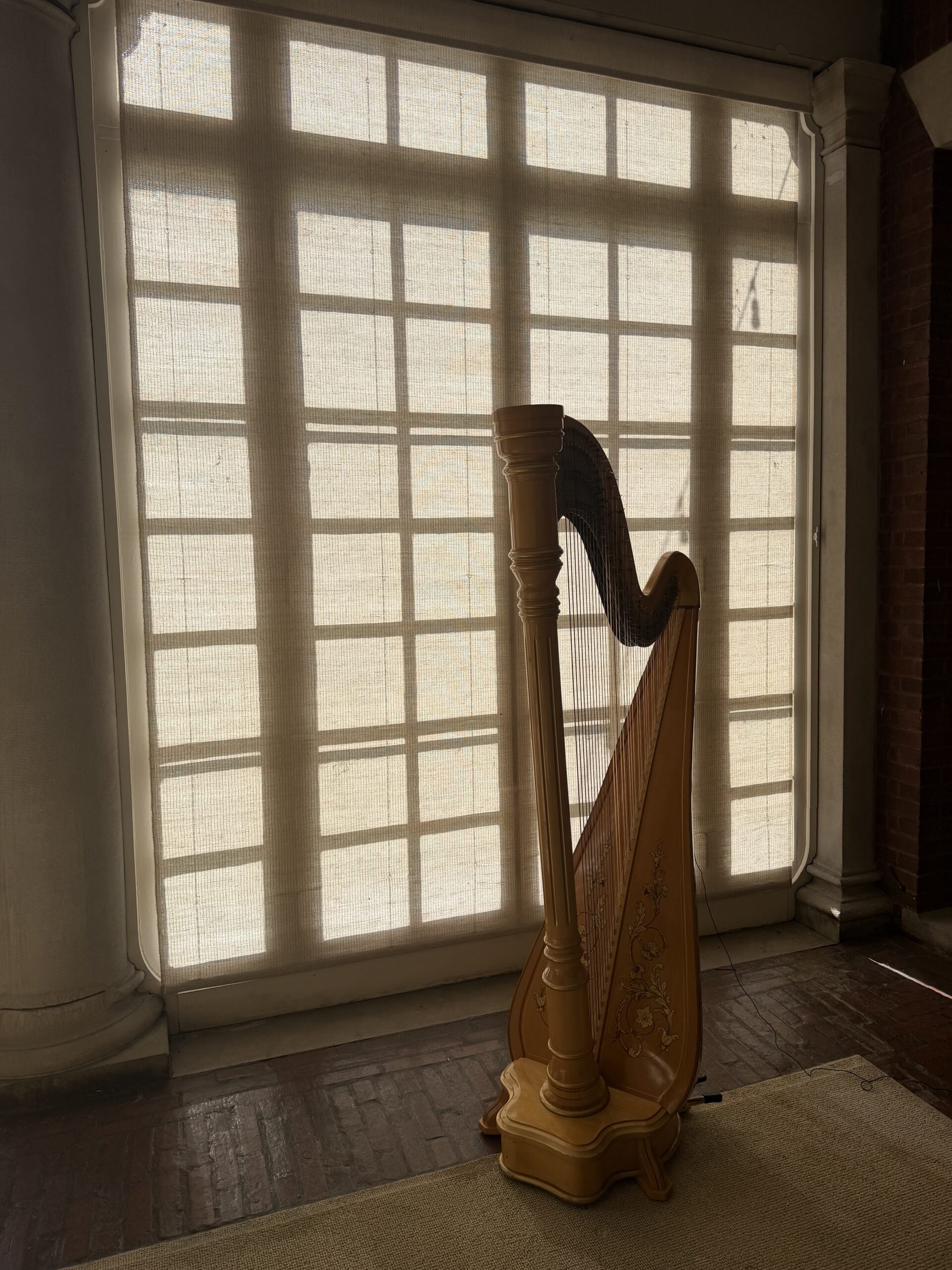 Bridgerton Harpist Illinois