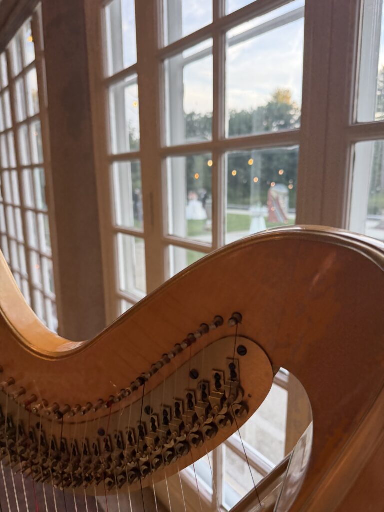 Bridgerton Harpist for Weddings