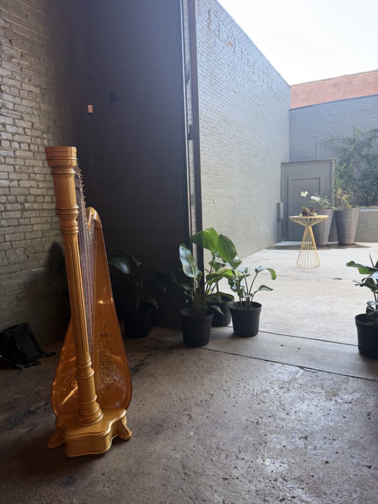 Harp Music for a Chattanooga Corporate Dinner