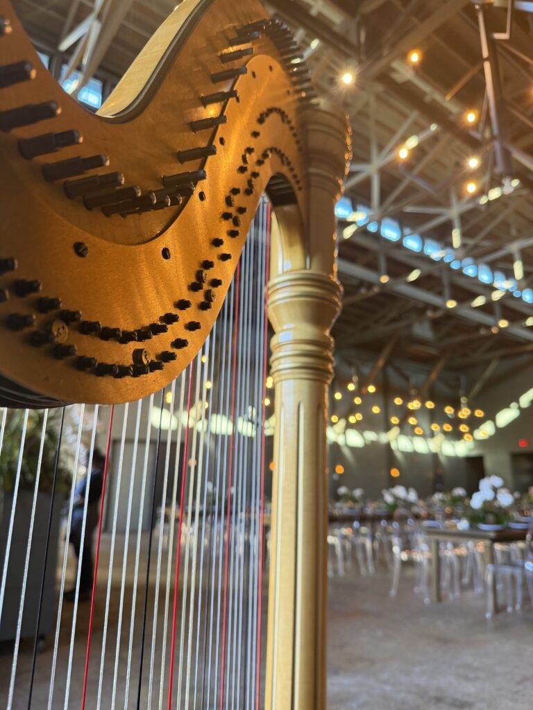 Corporate Dinner Harpist in Chattanooga Tennessee