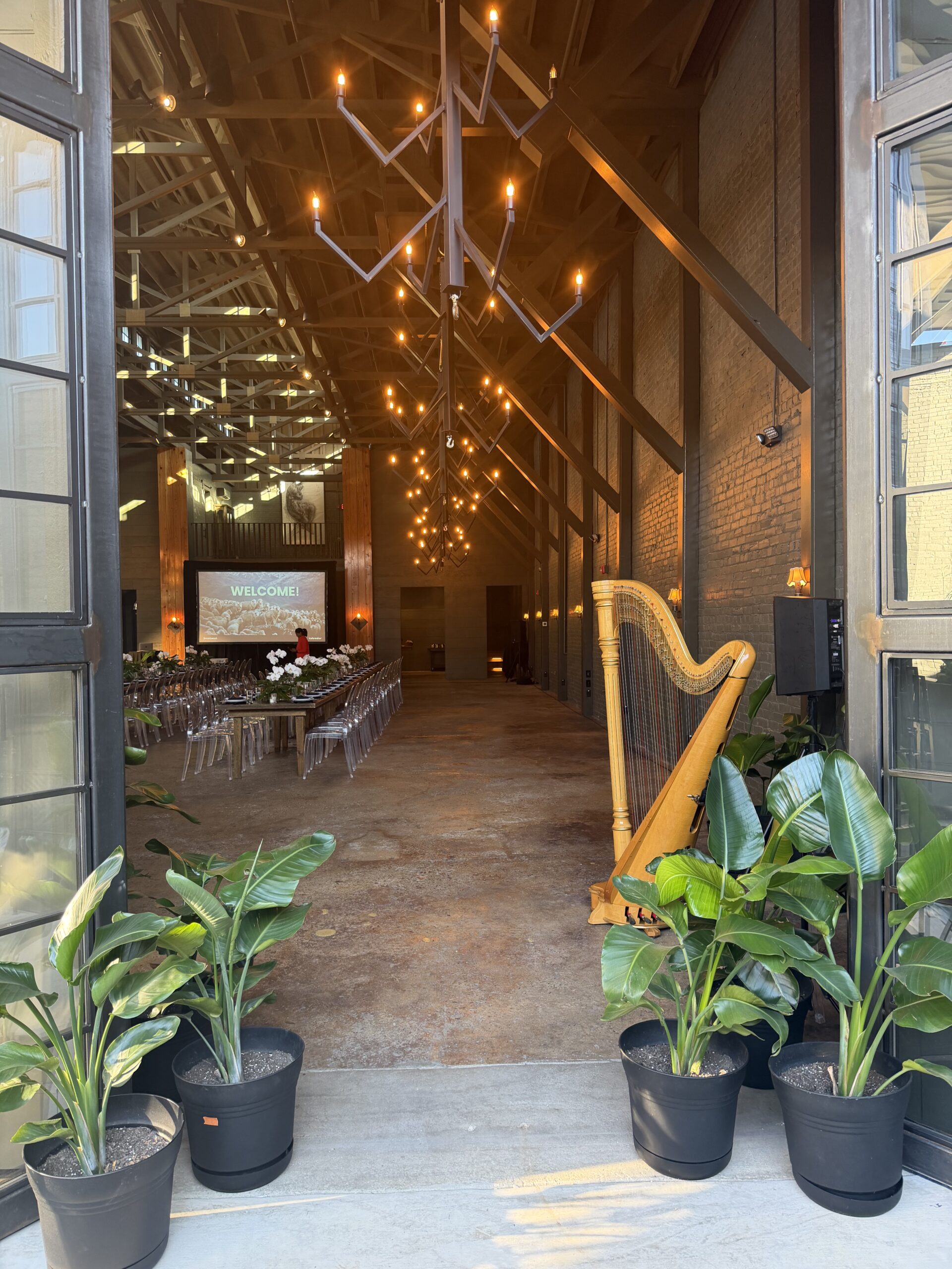 Live Harp Music for a Chattanooga Conference