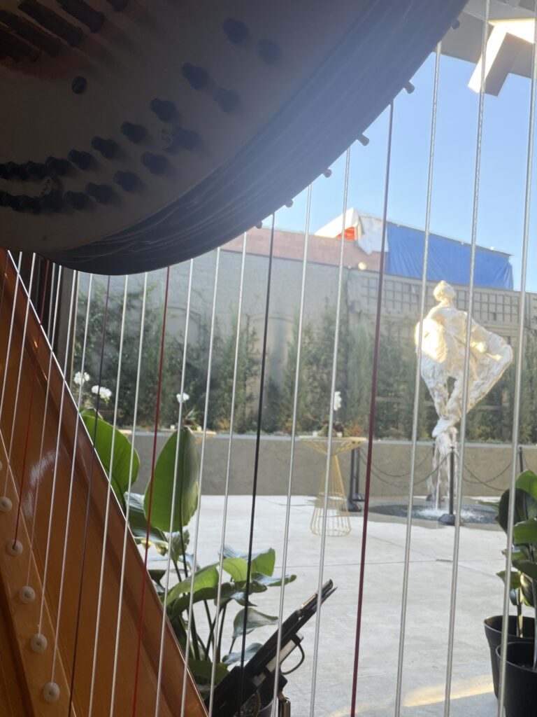 East Tennessee Corporate Event Harpist