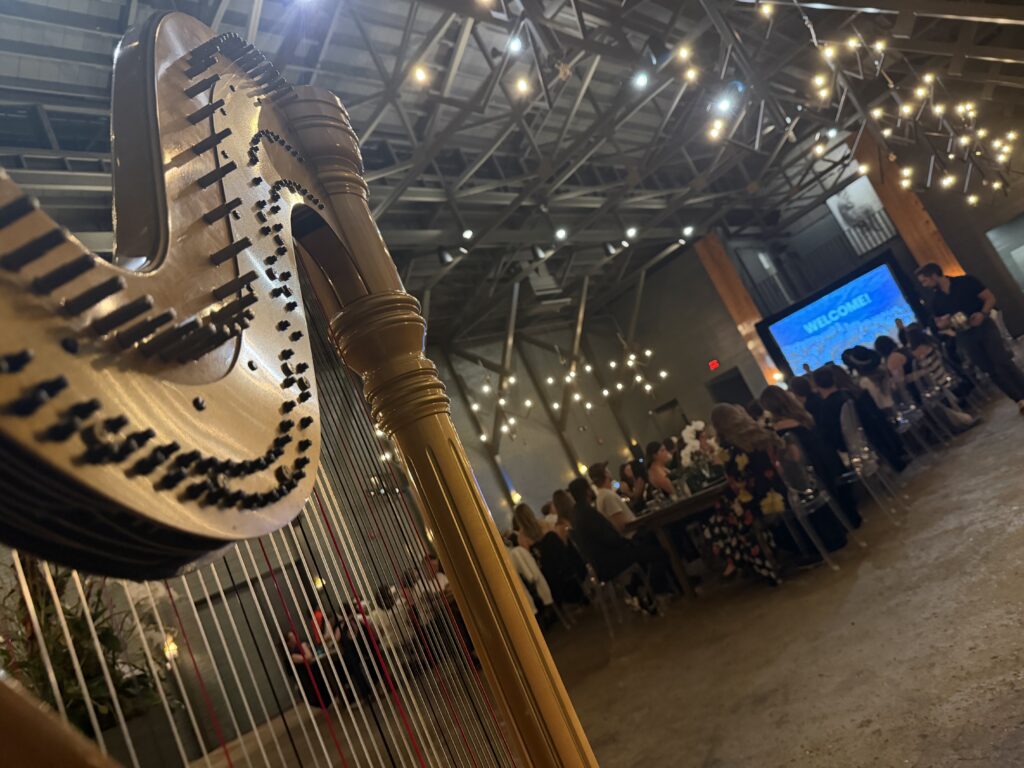 Contemporary Pop Harp Music for a Chattanooga Corporate Event