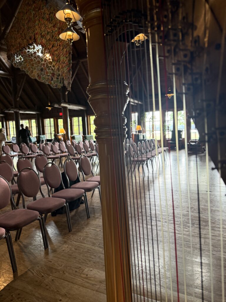 Classical and Contemporary Wedding Harp Music in Grafton