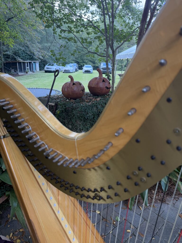 Columbia SC Harpist