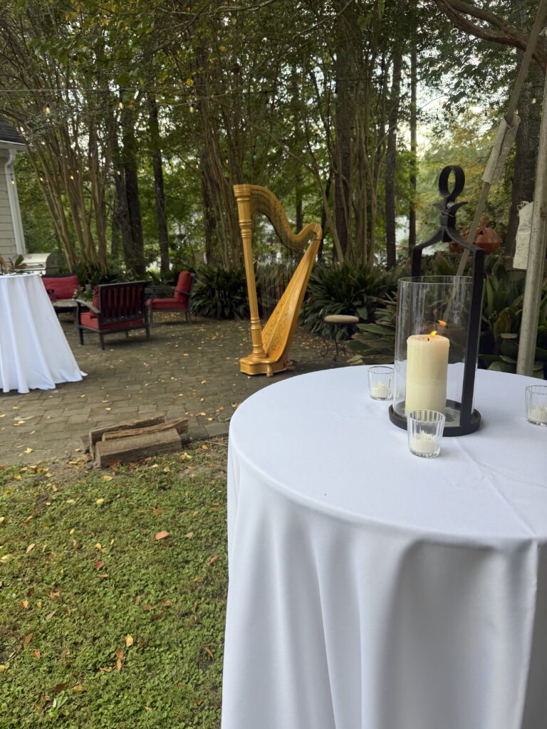 South Carolina Harpist