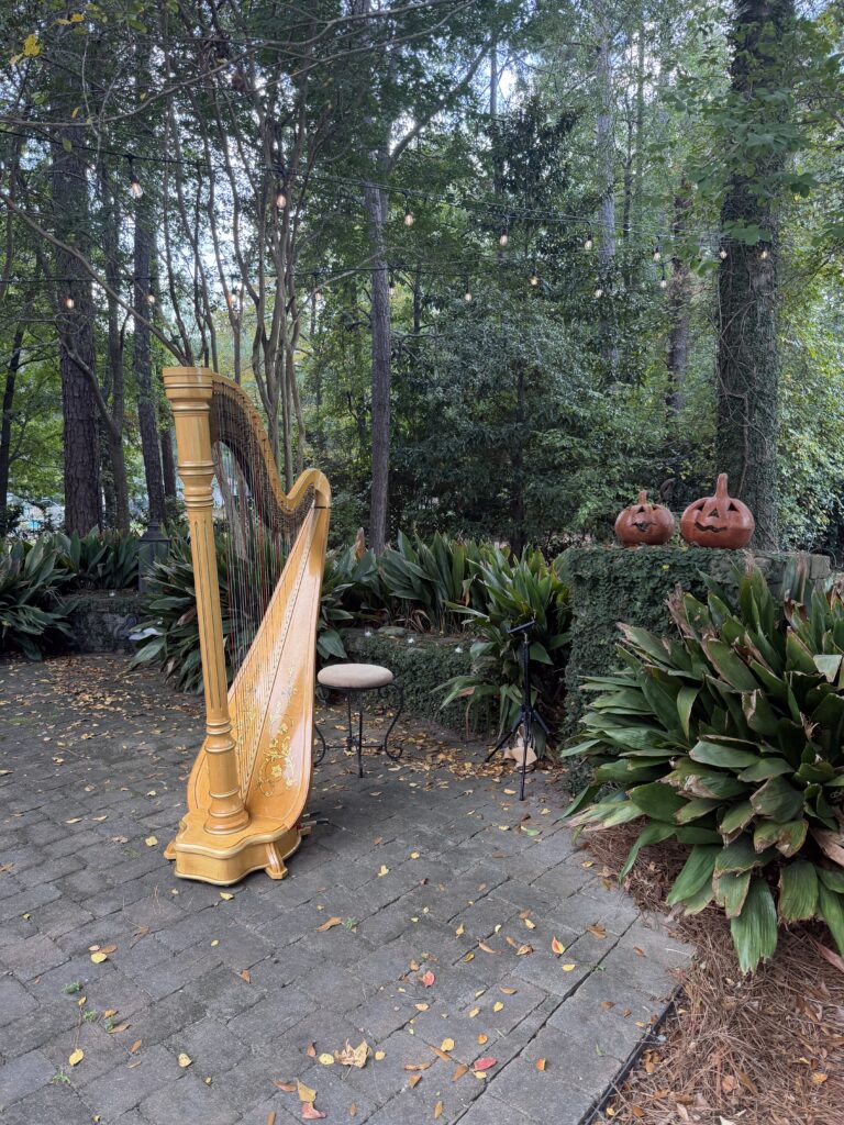 South Carolina Wedding Harpist