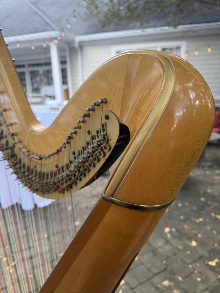Harp Player in South Carolina