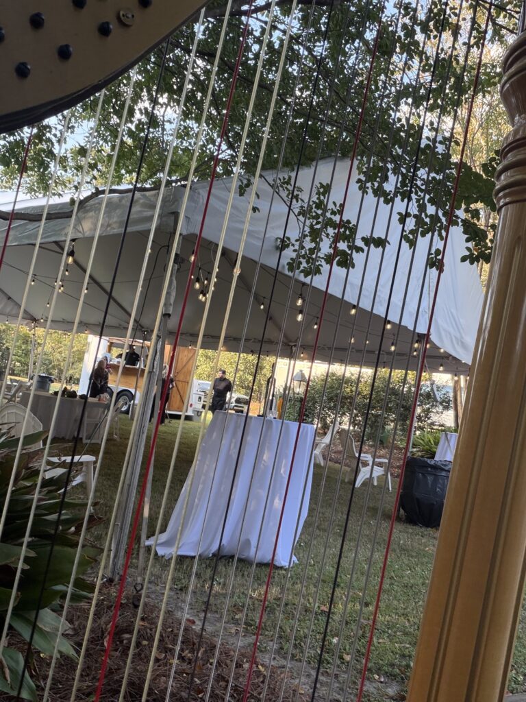 Harpist for a Wedding in Columbia SC