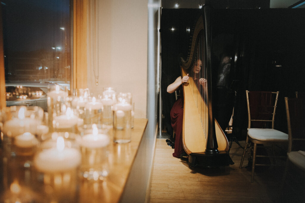 Non-Classical Harpist